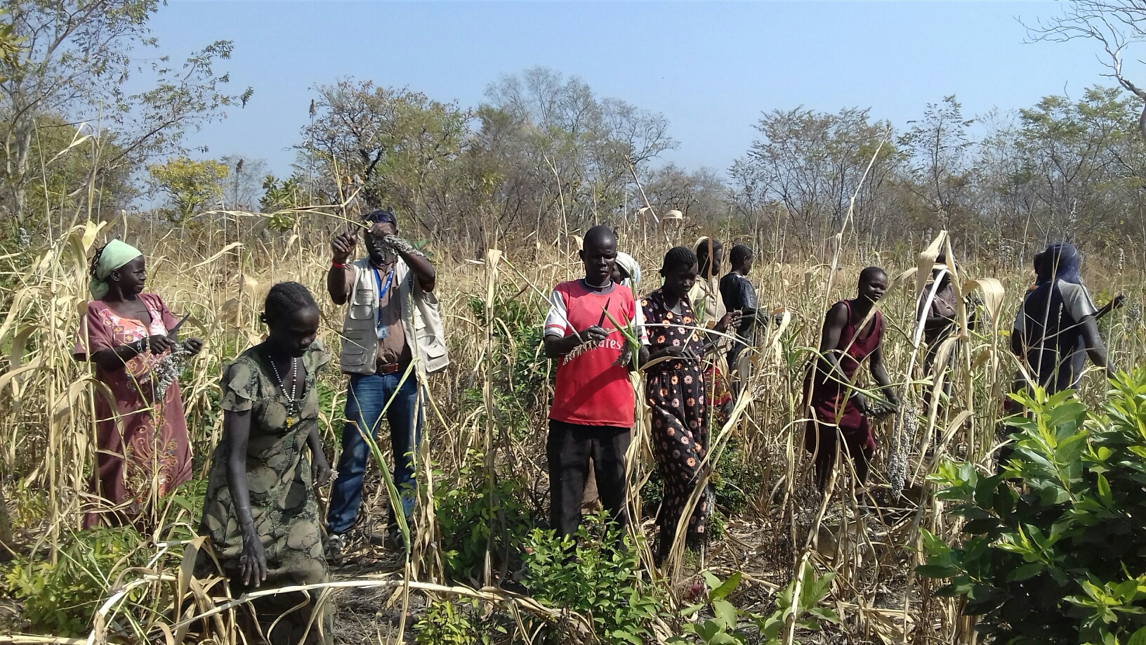 Sleeping Fuck Of Nigerian - The unspoken resilience of rural women in South Sudan - ACTED