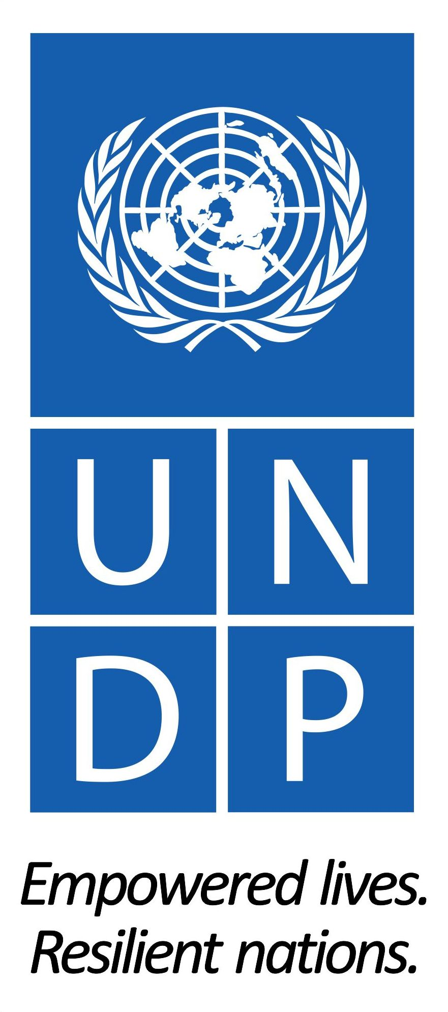 881px x 1990px - United Nations Development Programme (UNDP) - ACTED