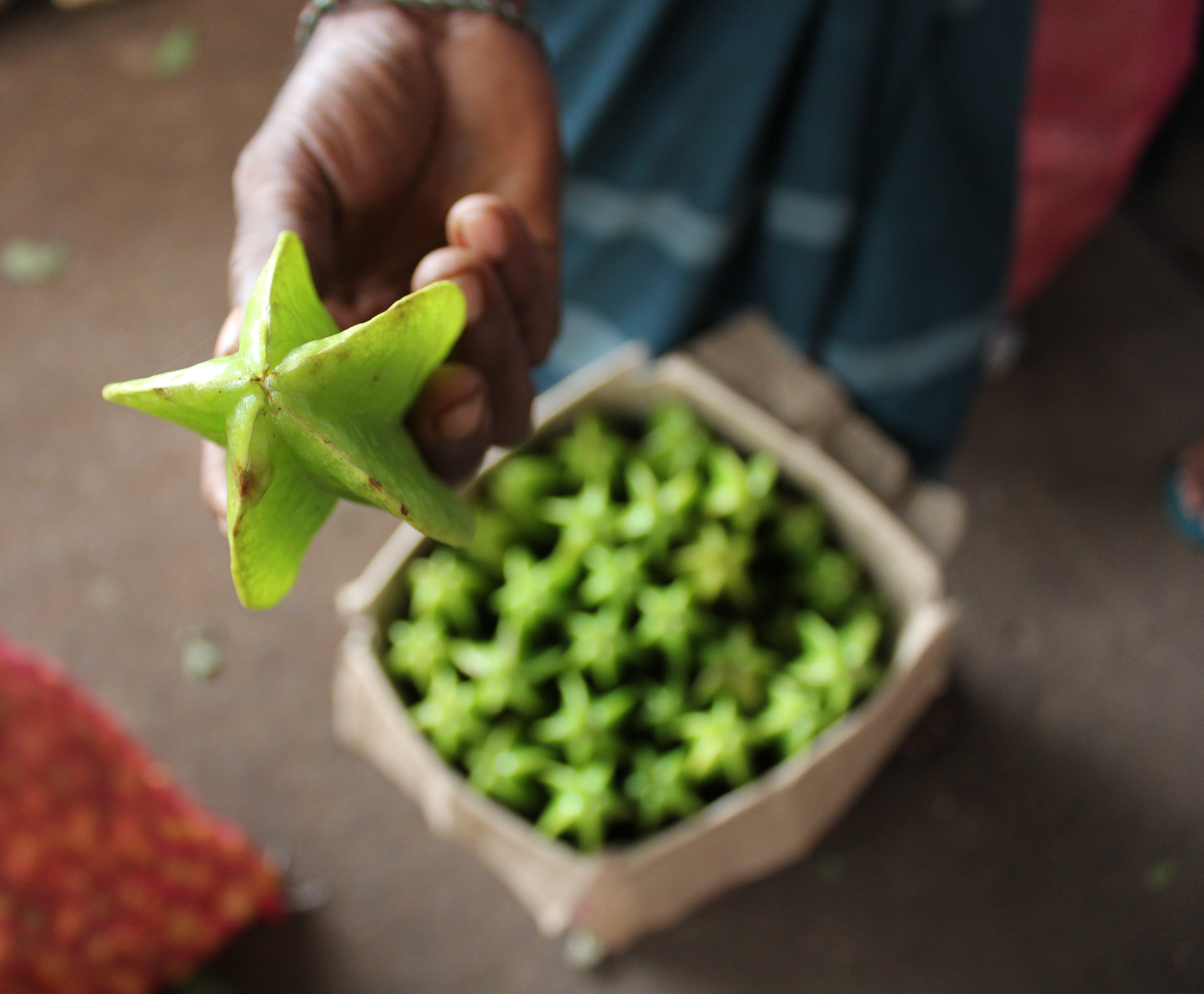 Renforcer l'autonomie des populations marginalisées au Sri Lanka Acted