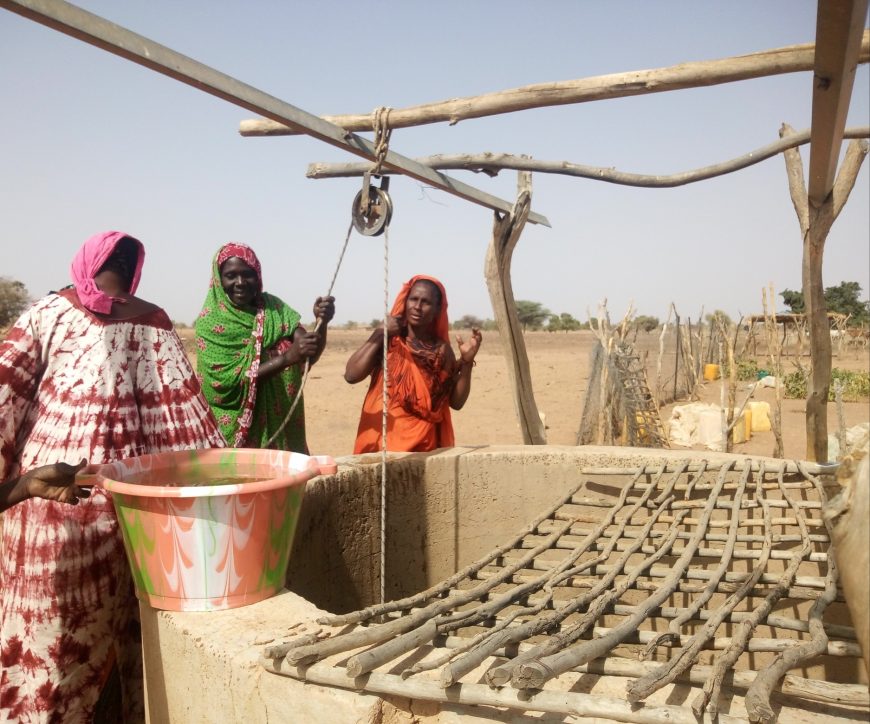 Avec le remplissage direct du bassin à partir du puits grâce au kit solaire, les femmes n’ont plus besoin de faire de gros efforts pour arroser leurs plants.