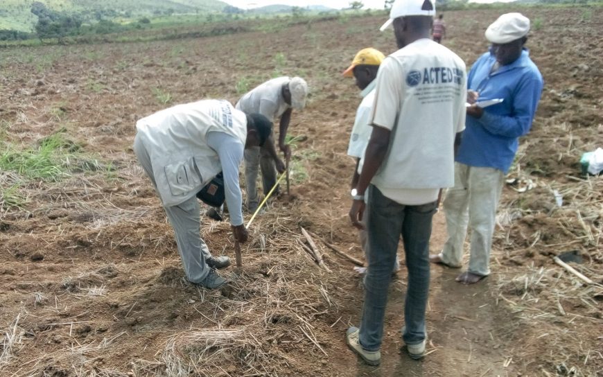 Renforcement des capacités des groupements communautaires sur les techniques agricoles améliorées dans le village Moubotsi Favre, district de loudima