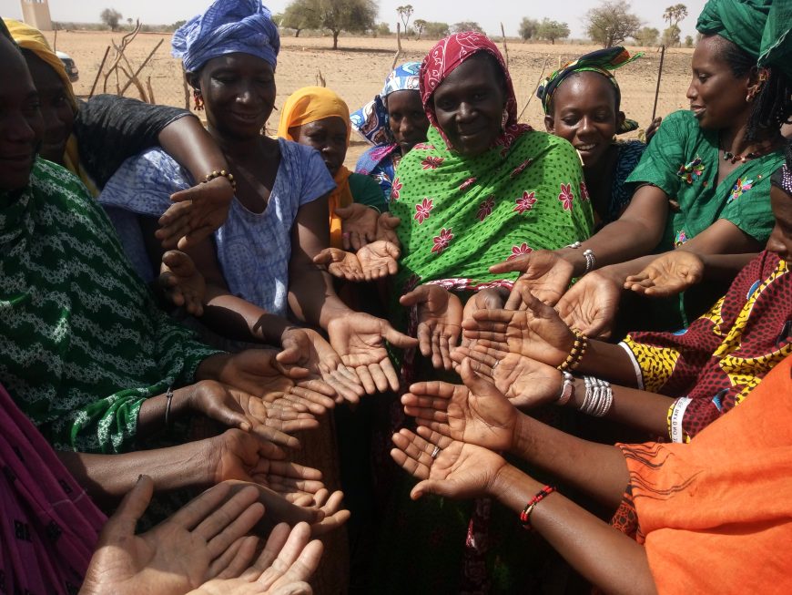 870px x 653px - Women's groups in rural Senegal are putting fresh vegetables back on the  menu - ACTED