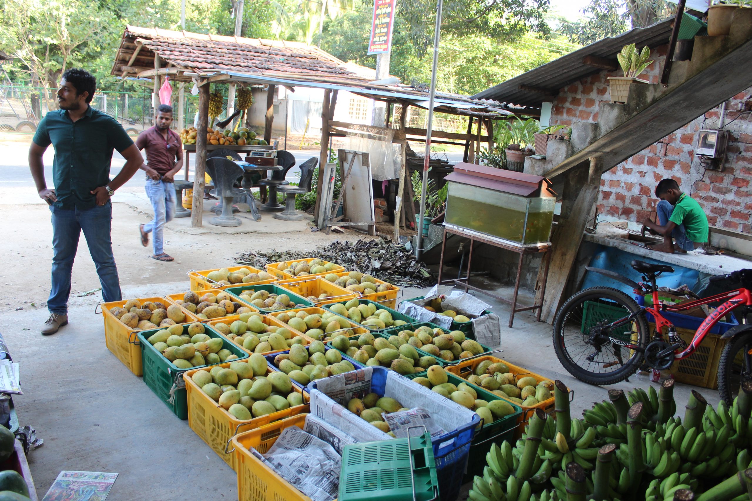 Sri Lanka : Bringing support to small businesses in rural areas