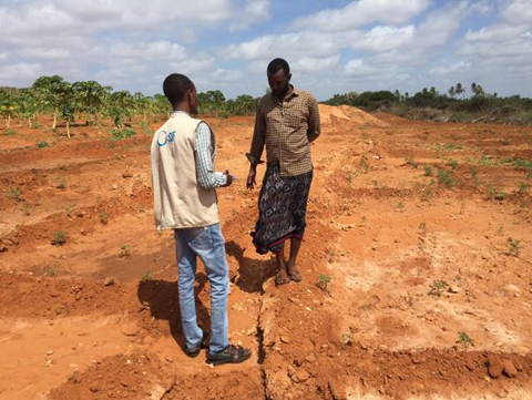 resilient agriculture