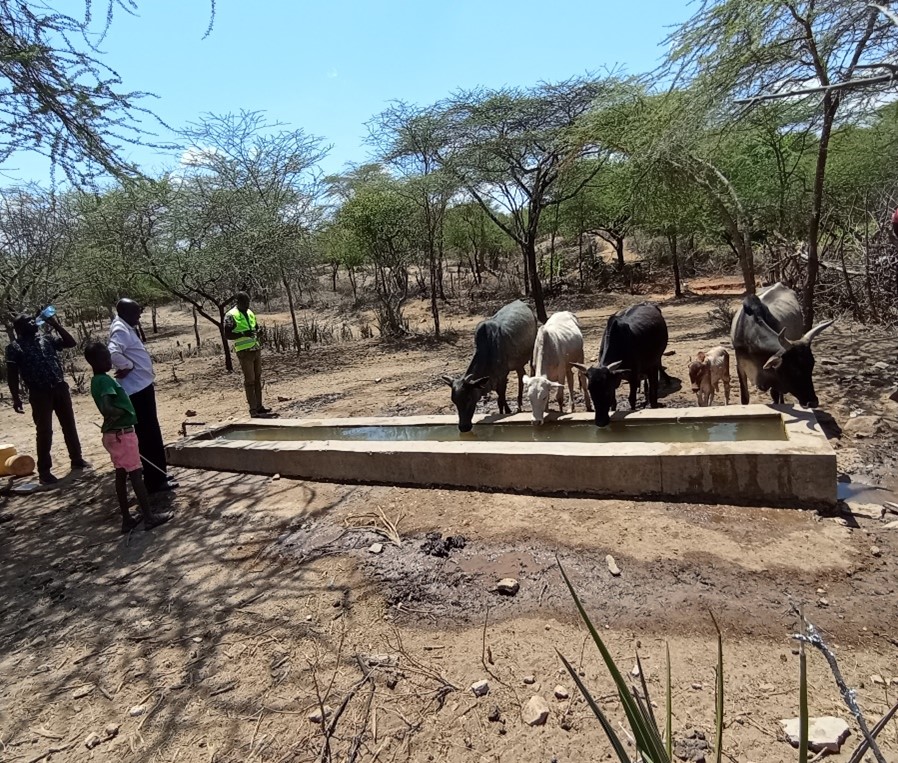 Kenya:How improving access to water can help reduce domestic violence