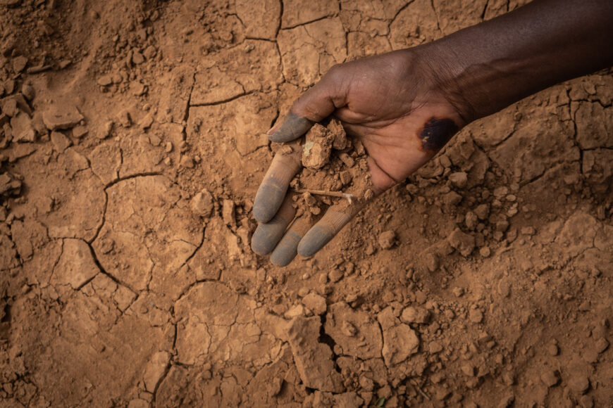 Xxx Forcely - Drought crisis in the Horn of Africa: Let's act now - ACTED