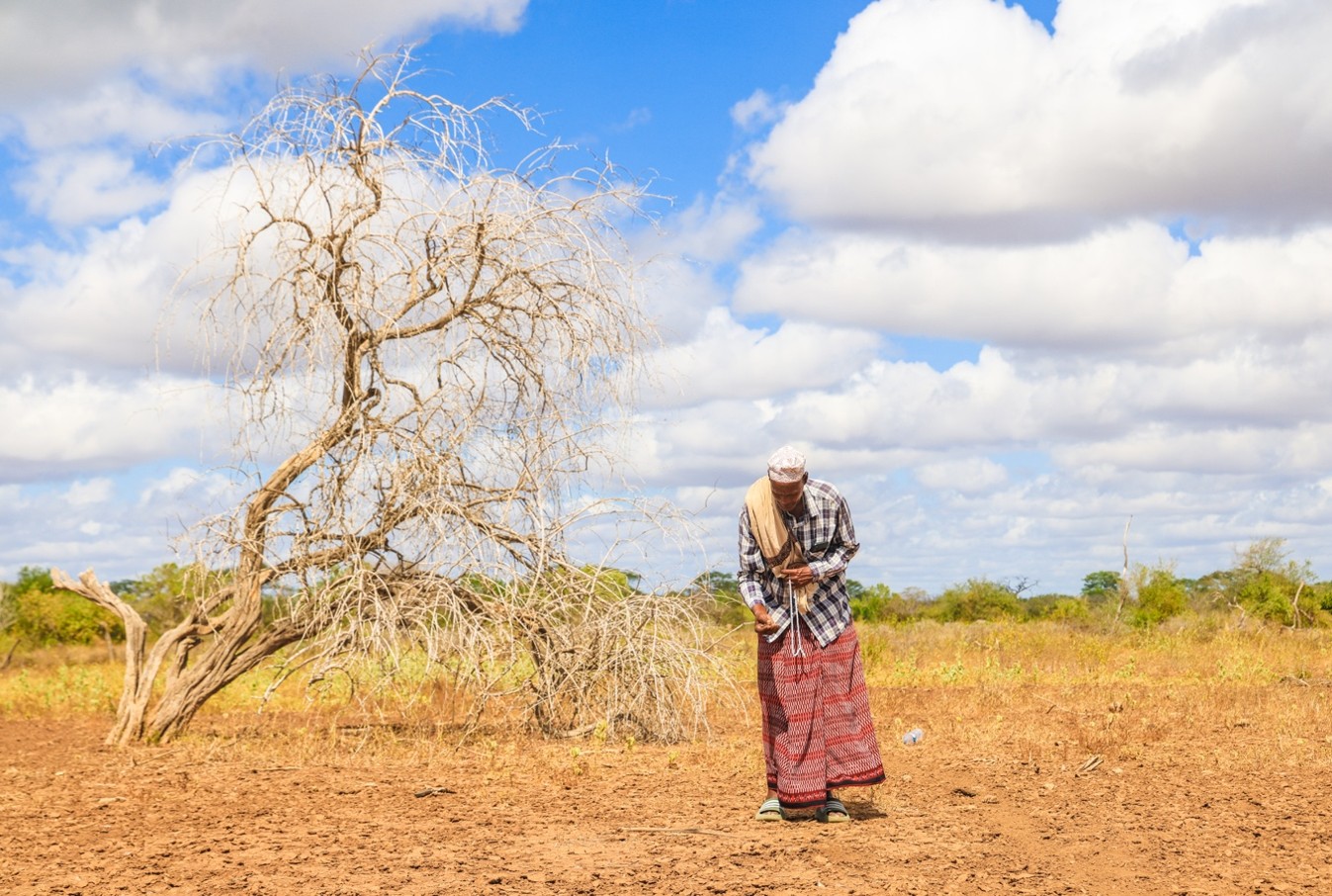Une bouée de sauvetage dans la région de Tana River : les familles confrontées à la sécheresse retrouvent l'espoir grâce à une aide financière