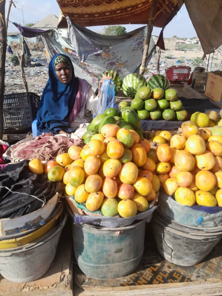 Somalie : renforcer les communautés touchées par les crises grâce à l’assistance en espèces multisectorielle (MPCA)